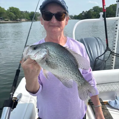 a person holding a fish on a boat in the water